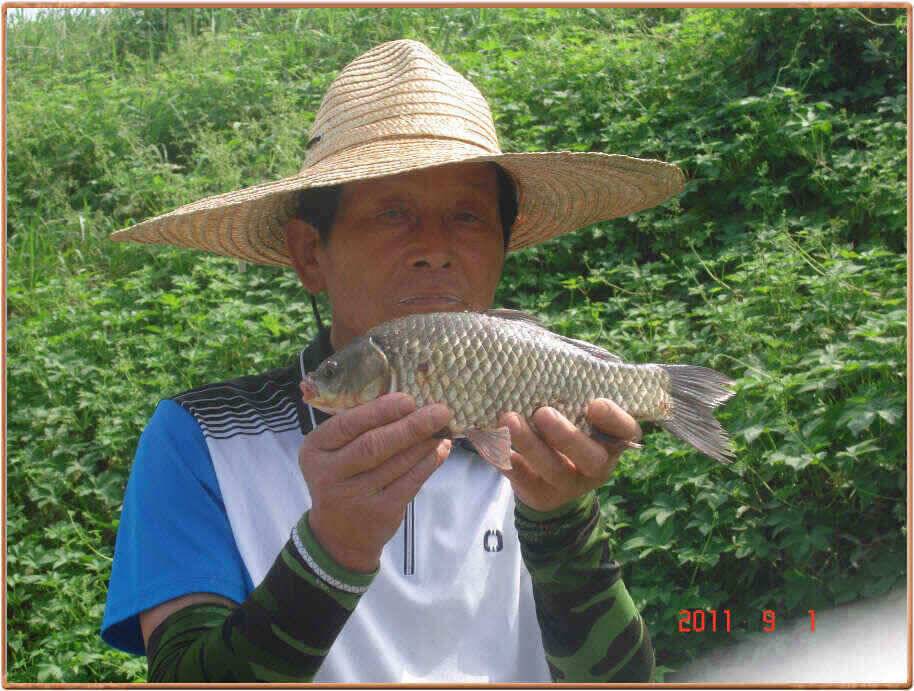 진위천 조황 (조황조행기 - 낚시점조황)