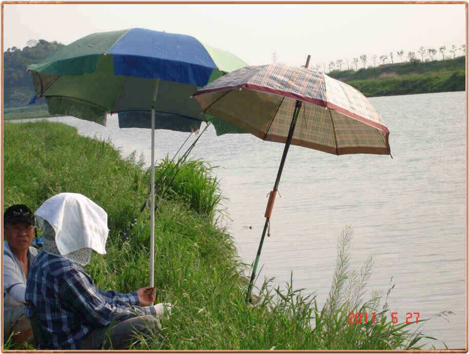 진위천 조황소식 (조황조행기 - 낚시점조황)