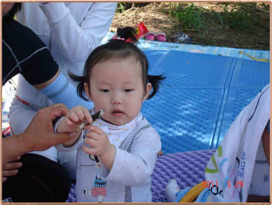 진위천 조황소식 (조황조행기 - 낚시점조황)