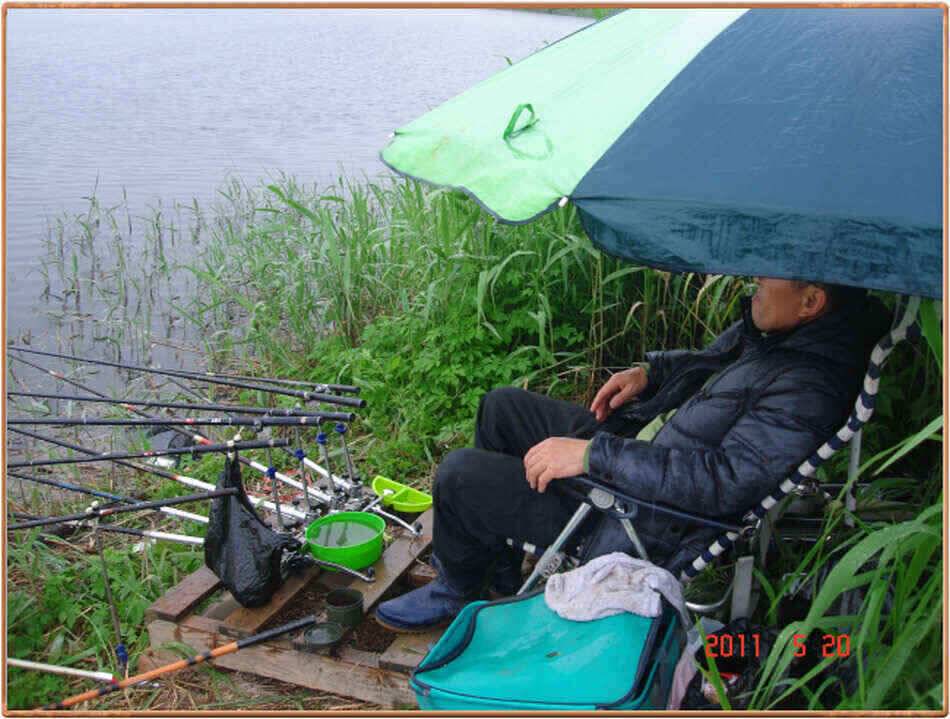 진위천 조황 소식 (조황조행기 - 낚시점조황)