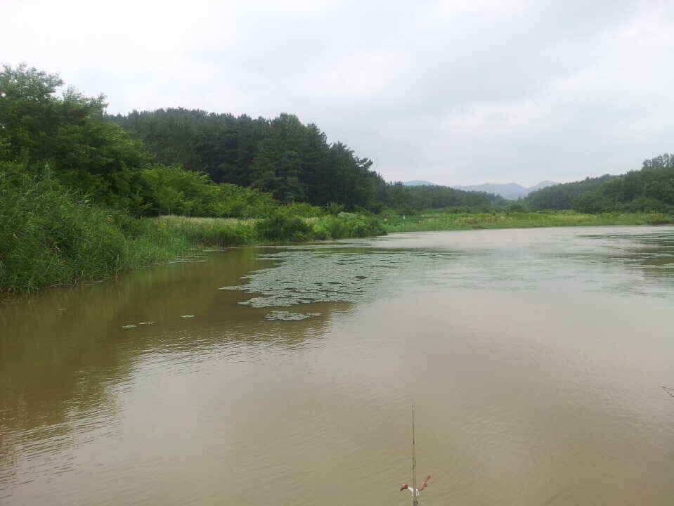 뜨겁지만 올라 옵니다 (조황조행기 - 낚시점조황)