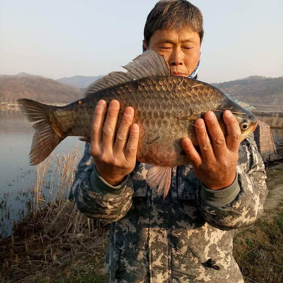 충주탄금호낚시대물43cm 41cm 40cm조황 (조황조행기 - 낚시점조황)