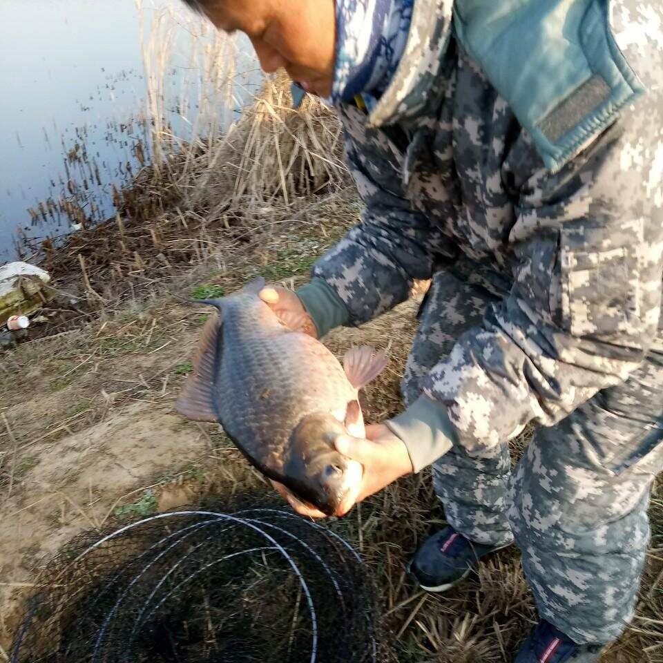 충주탄금호낚시대물43cm 41cm 40cm조황 (조황조행기 - 낚시점조황)