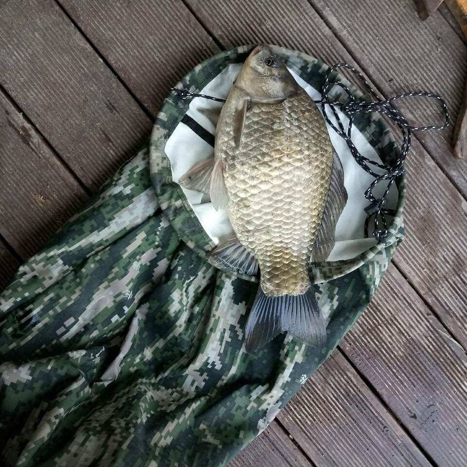 충주탄금호낚시 대물45m42cm40cm조황 (조황조행기 - 낚시점조황)