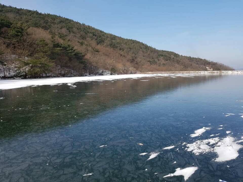 경북구미 빙어낚시 시작합니다 (조황조행기 - 낚시점조황)