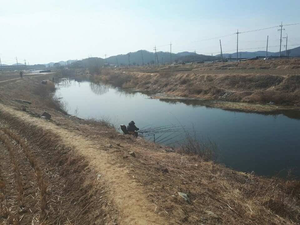 창녕권 낚시 스타트 (조황조행기 - 낚시점조황)