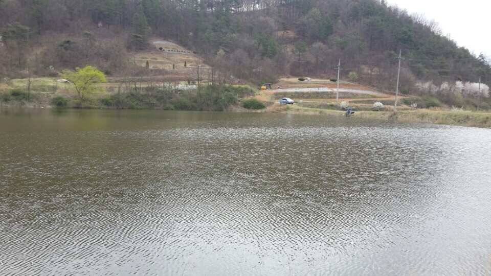 구미권 붕어소식들입니다 (조황조행기 - 낚시점조황)
