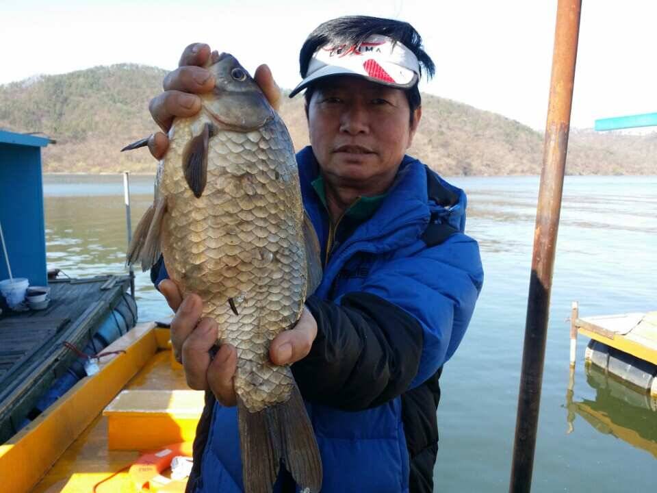 용인및안성권조황 (조황조행기 - 낚시점조황)