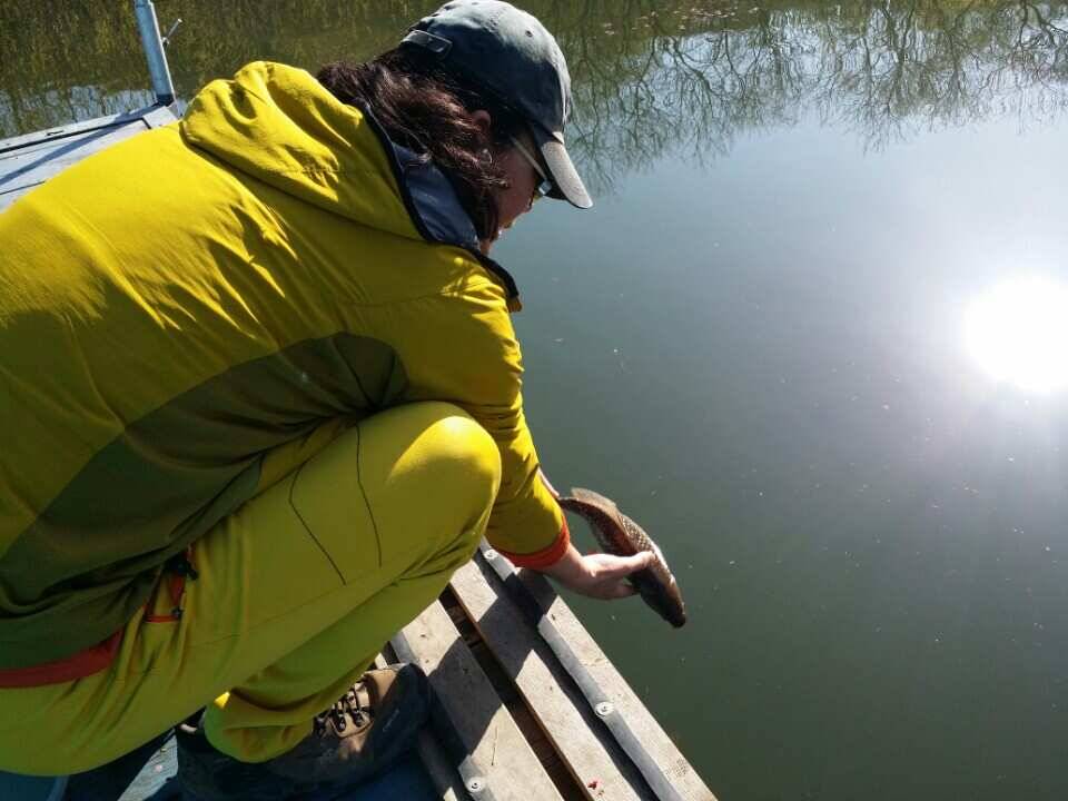 용인및안성권조황 (조황조행기 - 낚시점조황)