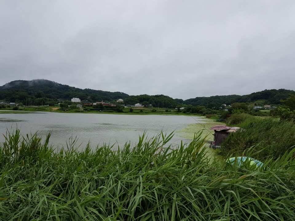 관성지 (조황조행기 - 낚시점조황)
