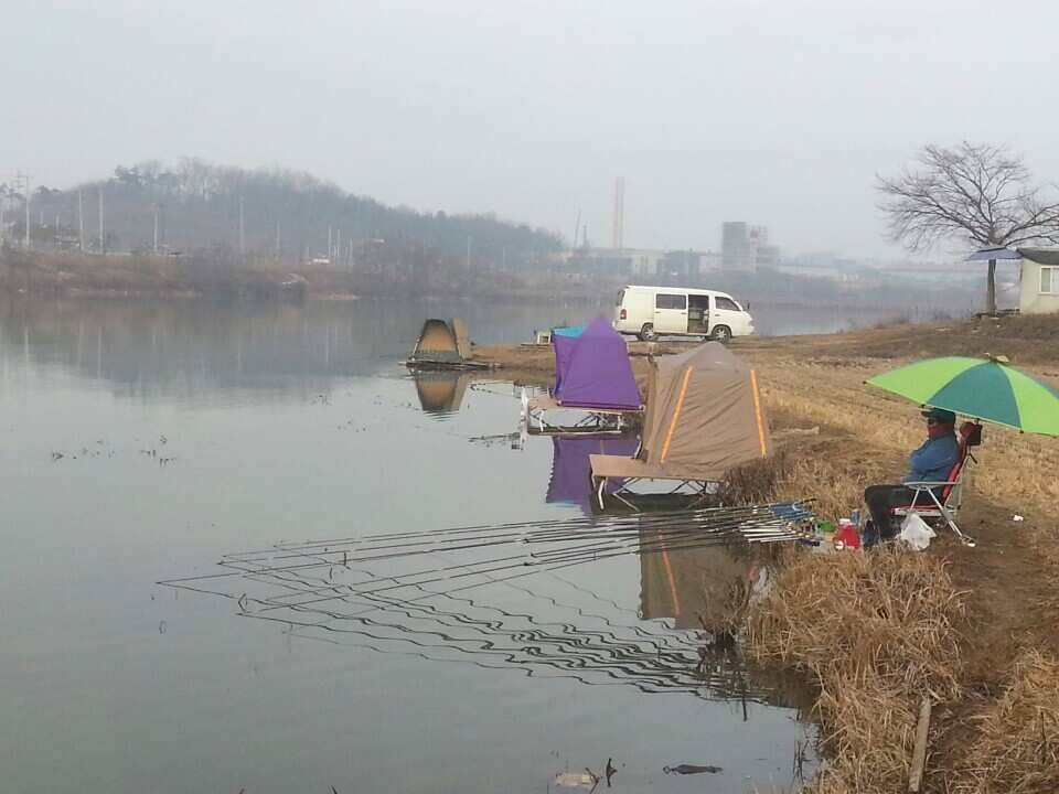 음성권 (조황조행기 - 낚시점조황)