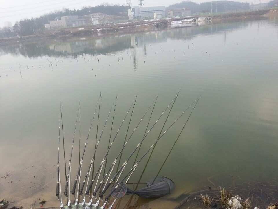 음성권 (조황조행기 - 낚시점조황)