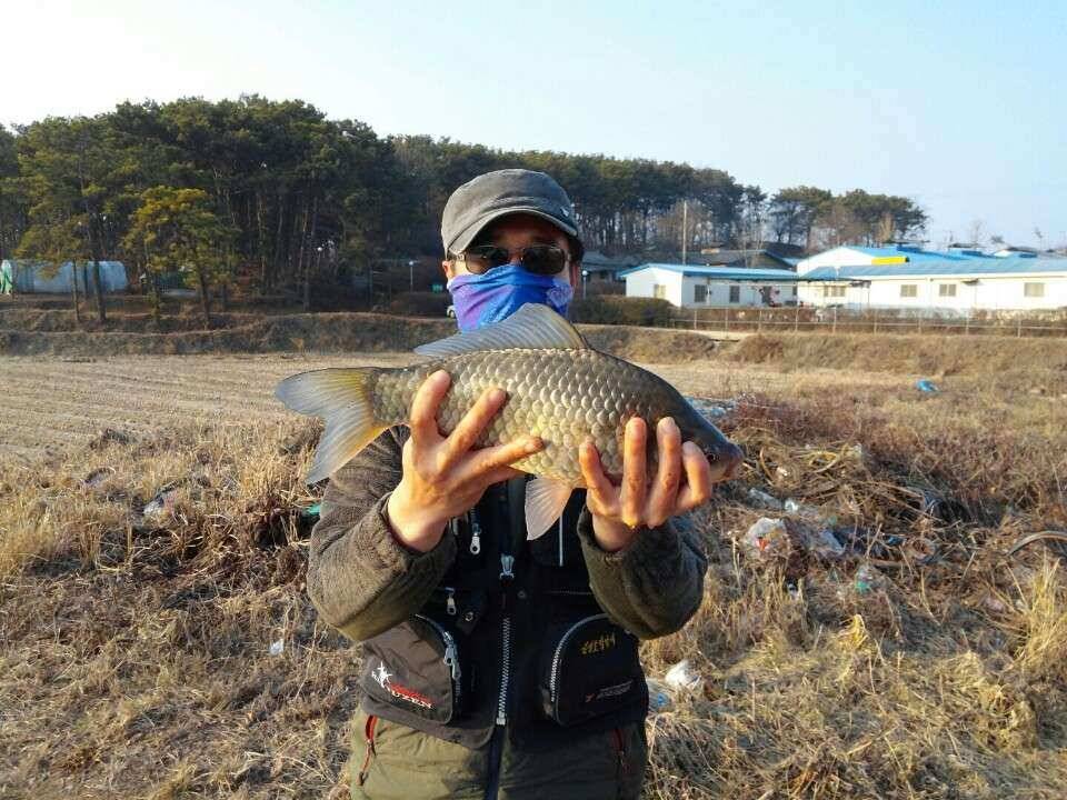 음성권 (조황조행기 - 낚시점조황)