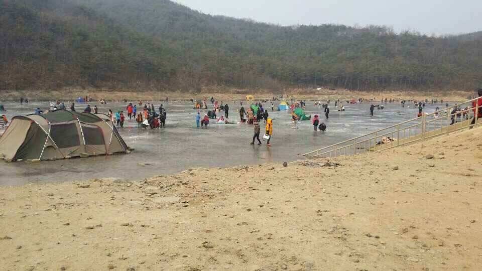 빙어낚시는군위어의지내의지로여행오셔요 (조황조행기 - 낚시점조황)