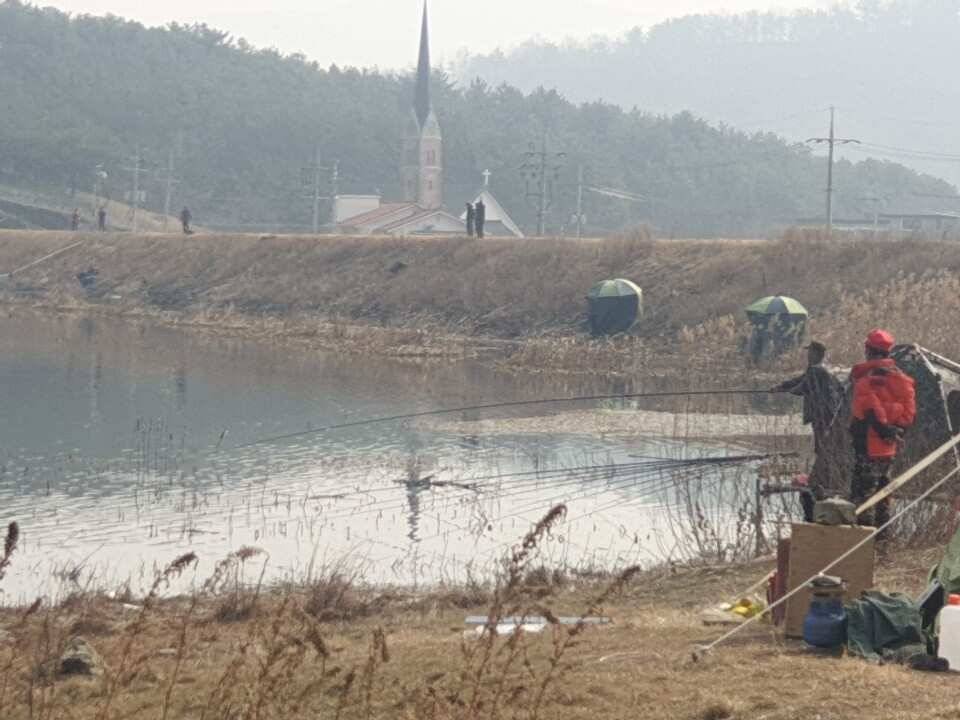 봄이찾아 오듯 붕어소식도 들려 옵니다 (조황조행기 - 낚시점조황)