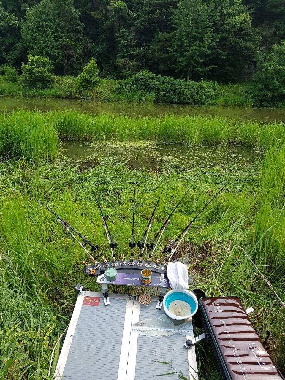 창녕권 저수지정보 (조황조행기 - 낚시점조황)