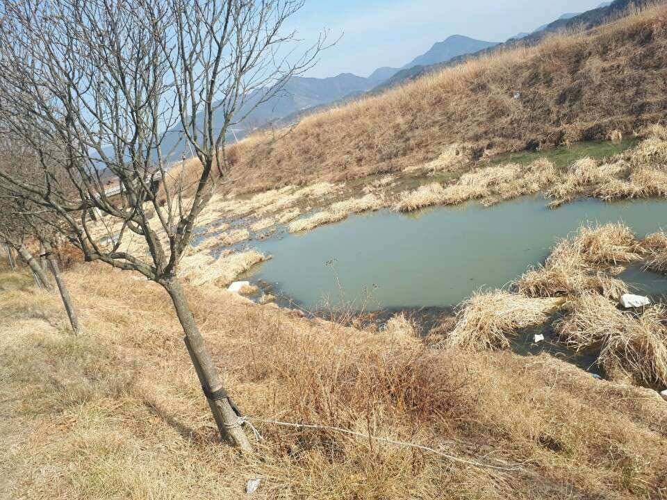창녕권 낚시 스타트 (조황조행기 - 낚시점조황)