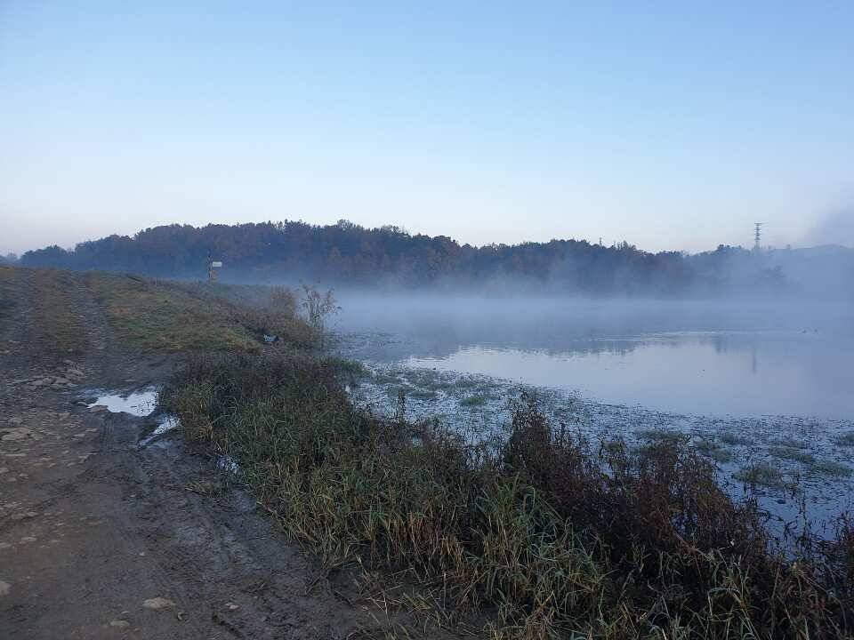 창녕권 조황 입니다 (조황조행기 - 낚시점조황)