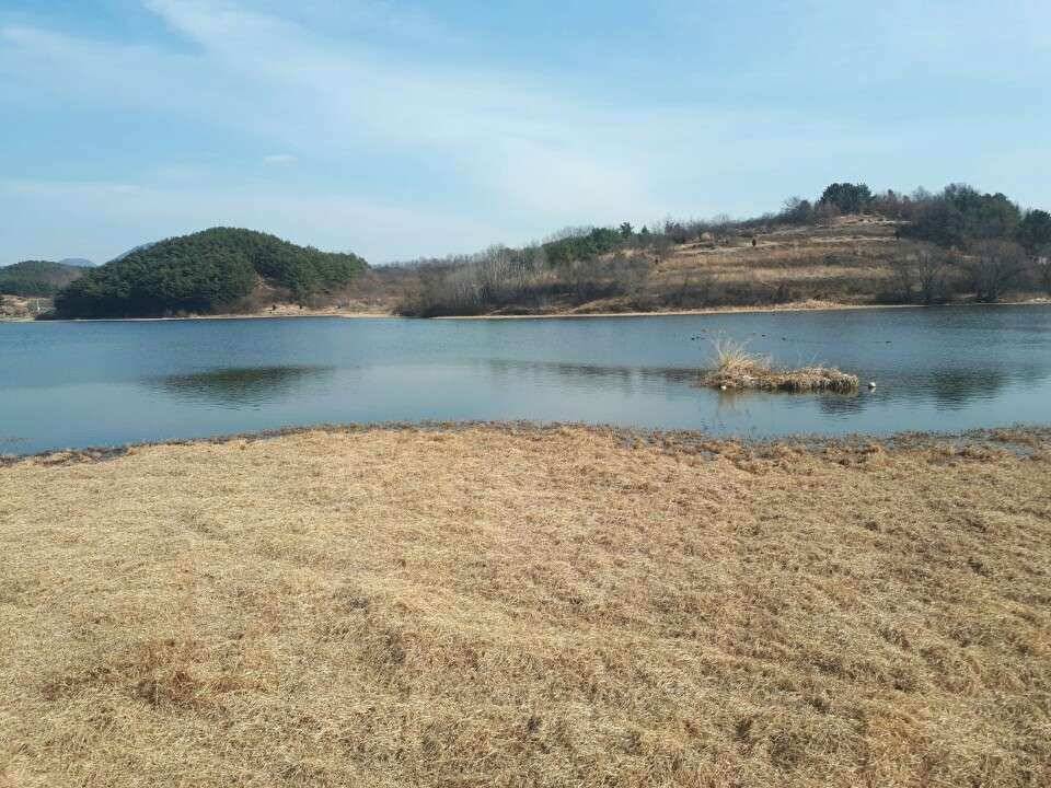 창녕권 낚시 스타트 (조황조행기 - 낚시점조황)