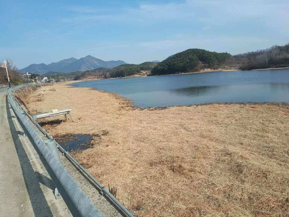 창녕권 낚시 스타트 (조황조행기 - 낚시점조황)