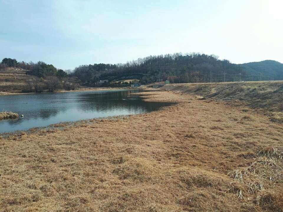 창녕권 낚시 스타트 (조황조행기 - 낚시점조황)