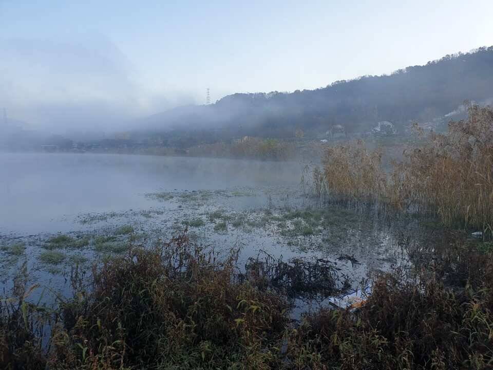 창녕권 조황 입니다 (조황조행기 - 낚시점조황)