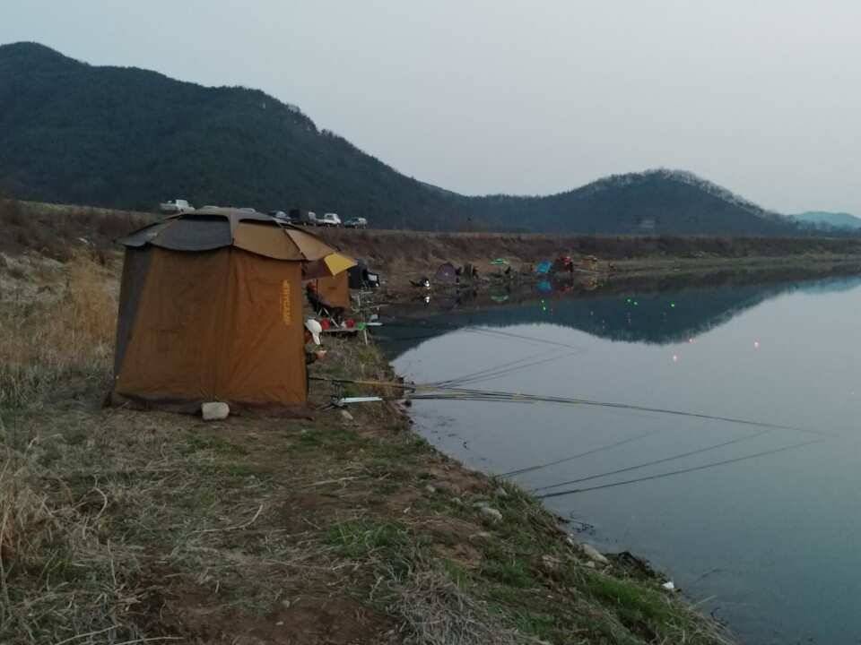 창녕권 조황 입니다 (조황조행기 - 낚시점조황)