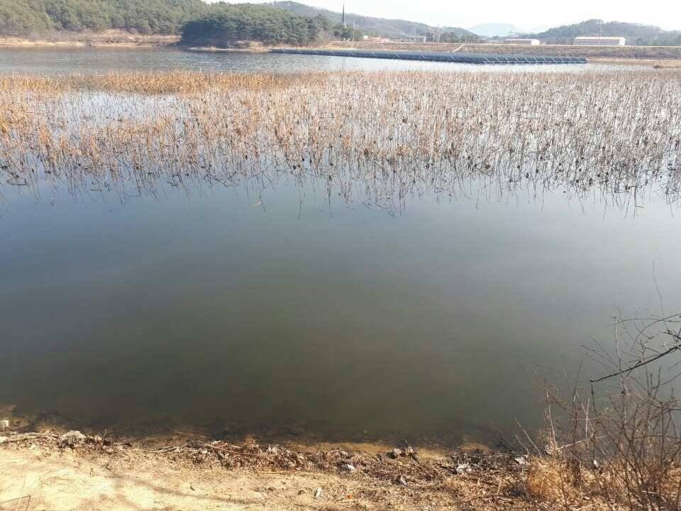 창녕권 낚시 스타트 (조황조행기 - 낚시점조황)