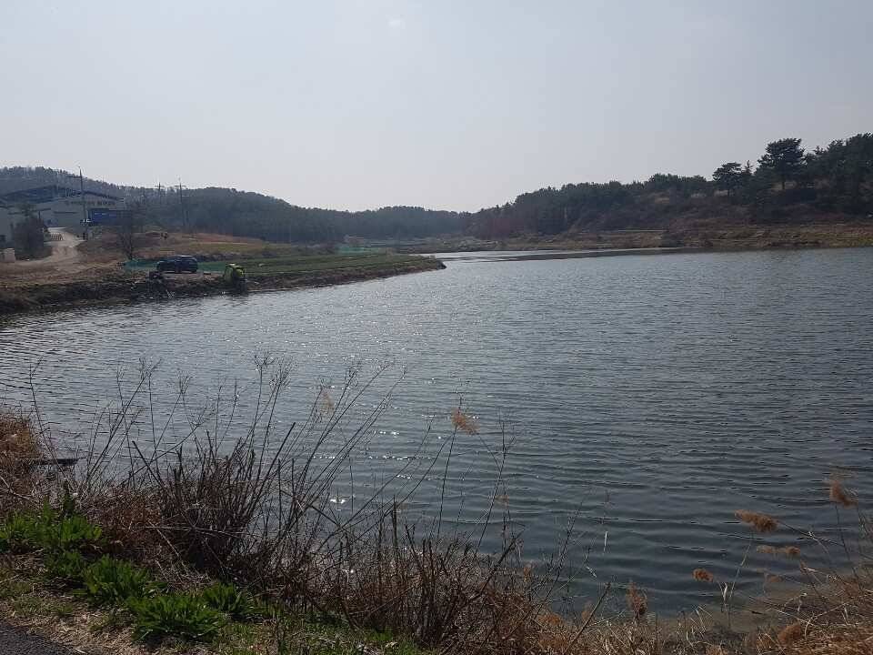 창녕권 조황 입니다 (조황조행기 - 낚시점조황)