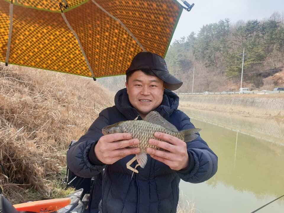 봄이찾아 오듯 붕어소식도 들려 옵니다 (조황조행기 - 낚시점조황)