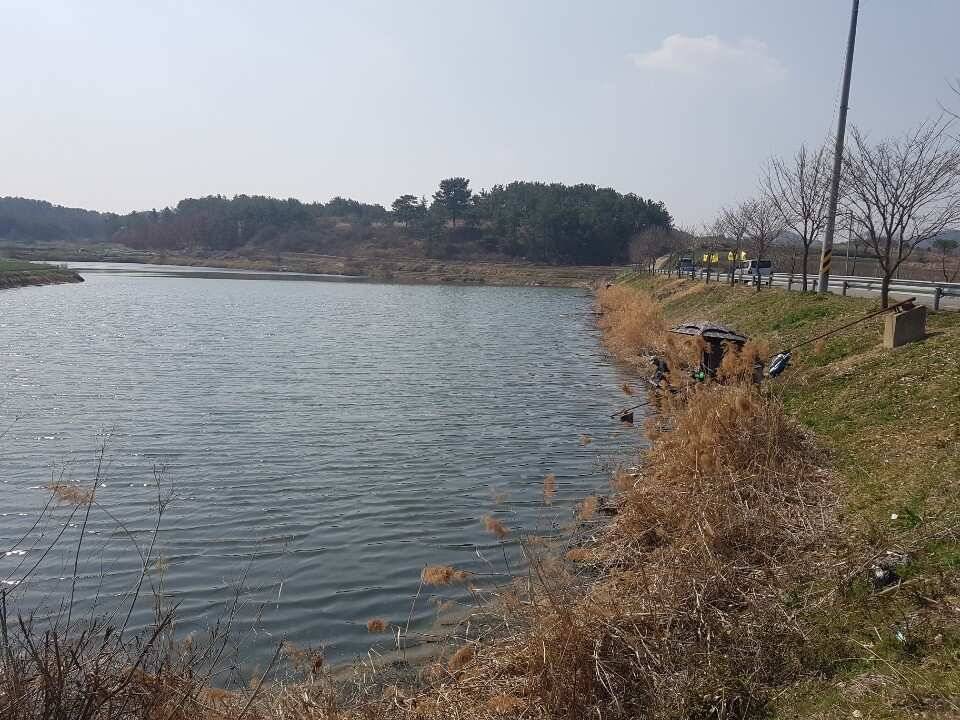 창녕권 조황 입니다 (조황조행기 - 낚시점조황)