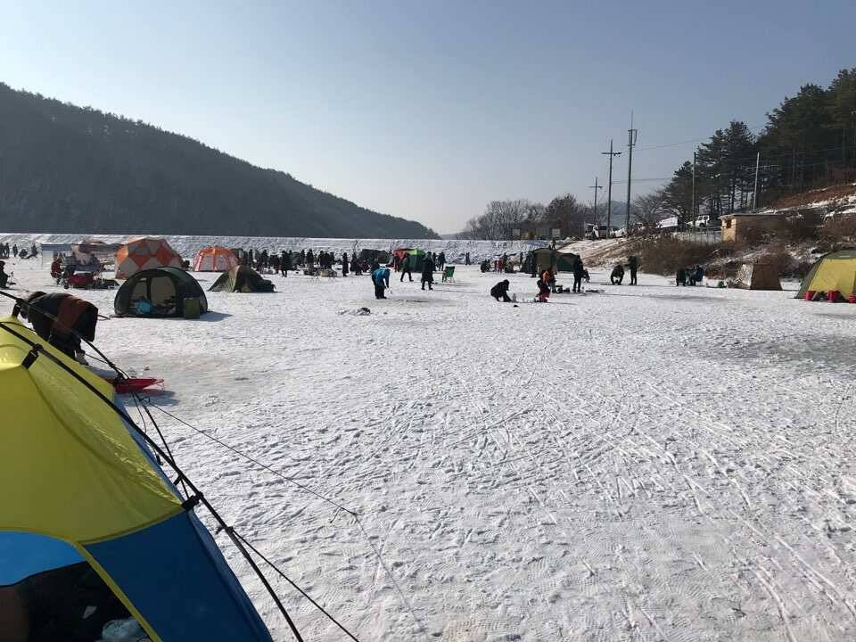 경북권구미권 주말 빙어낚시 조황 (조황조행기 - 낚시점조황)