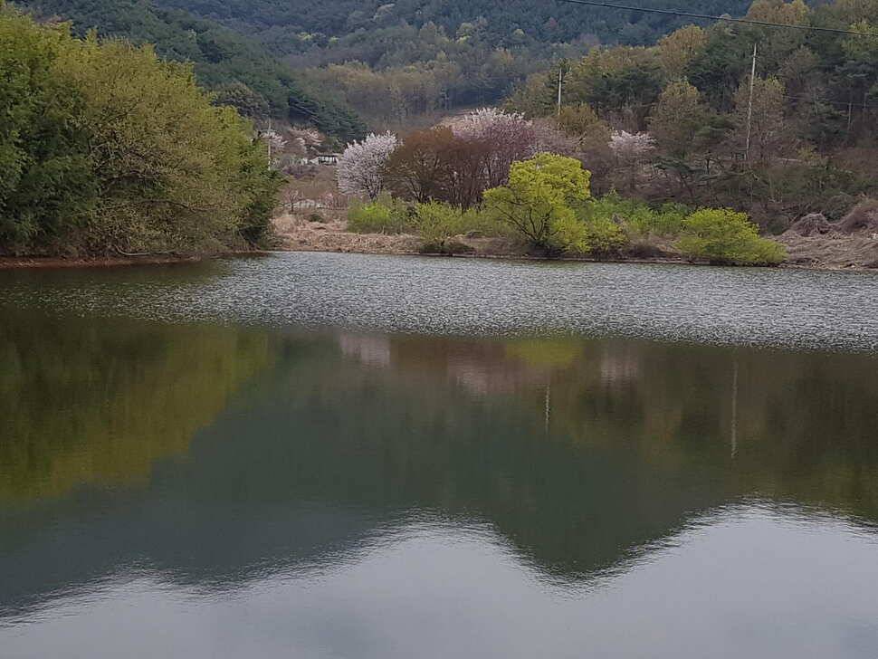 날씨가 따듯해지려나 봅니다 창녕권 조황입니다 (조황조행기 - 낚시점조황)