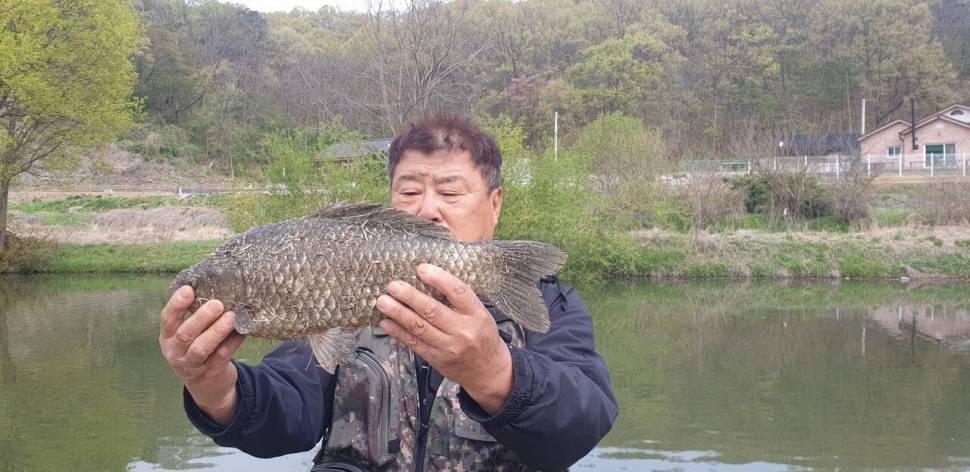 매전지4241541 (조황조행기 - 낚시점조황)