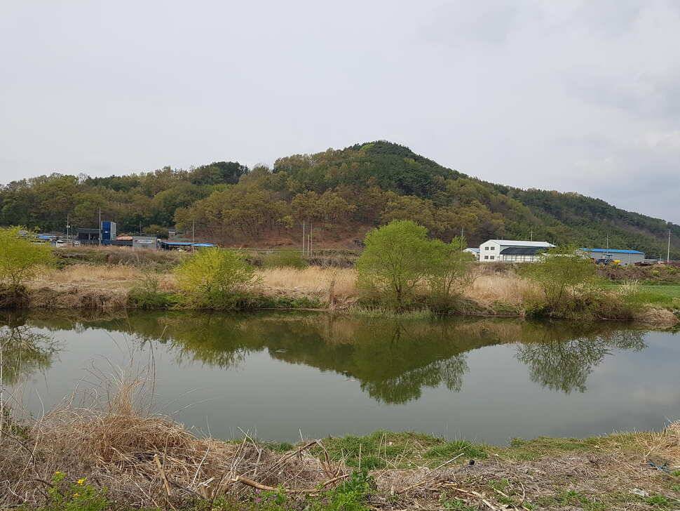 날씨가 따듯해지려나 봅니다 창녕권 조황입니다 (조황조행기 - 낚시점조황)