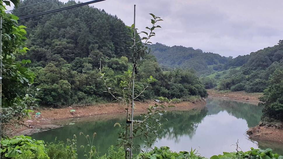 청풍호 노지 현재모습입니다 (조황조행기 - 낚시점조황)
