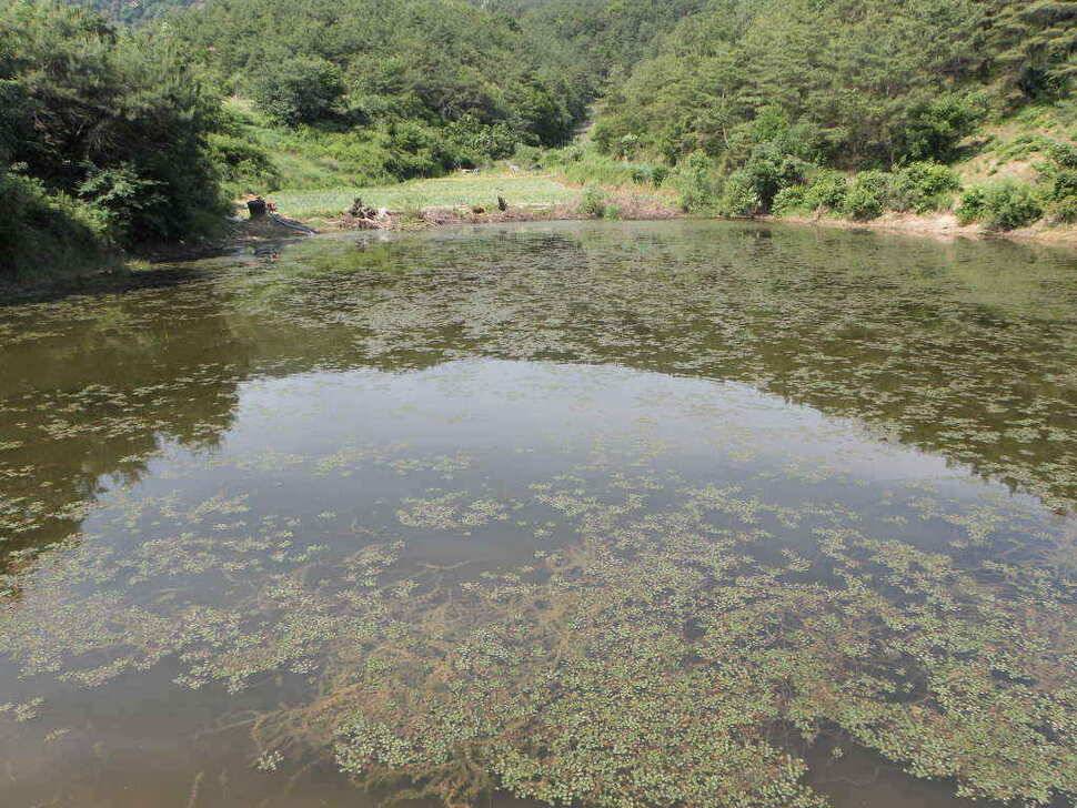 도전해 볼만한 저수지입니다 회원분들 참고하시길 (조황조행기 - 낚시점조황)