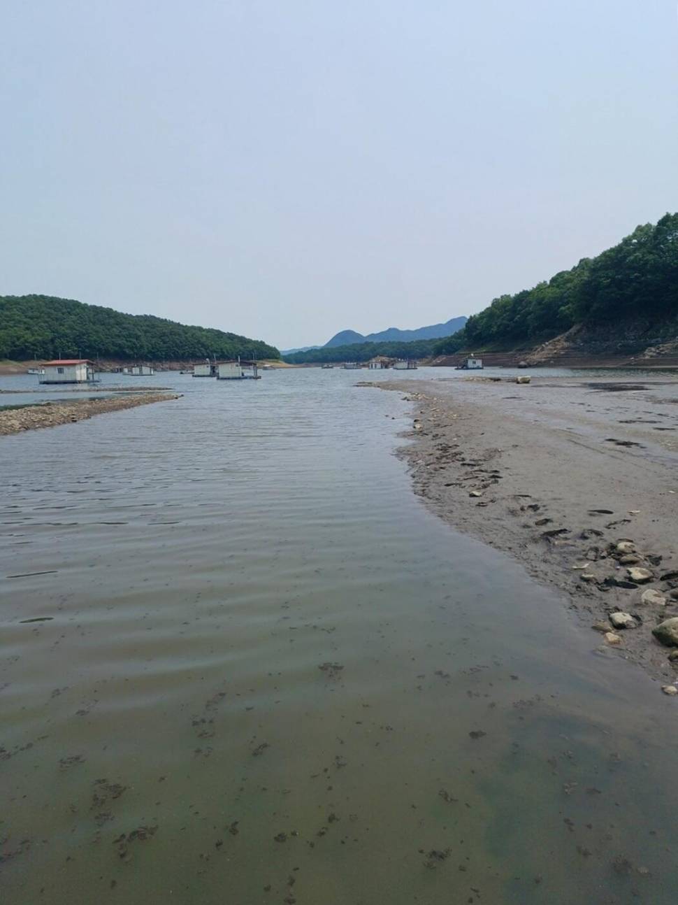 제일낚시4짜월척문골낚시 허리급 (조황조행기 - 낚시점조황)