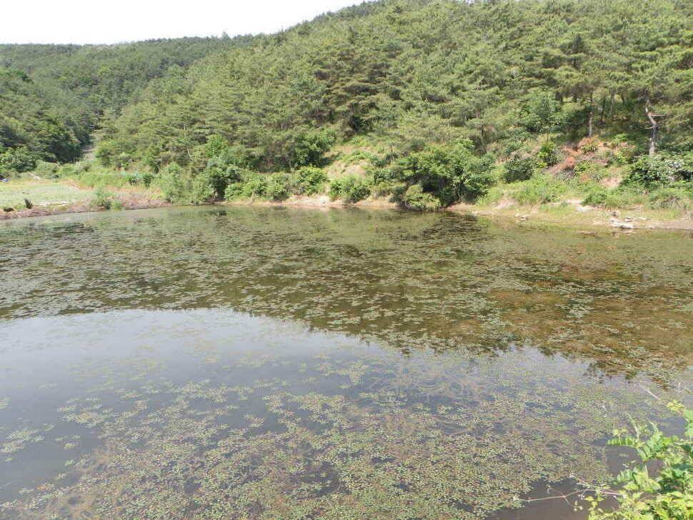 도전해 볼만한 저수지입니다 회원분들 참고하시길 (조황조행기 - 낚시점조황)