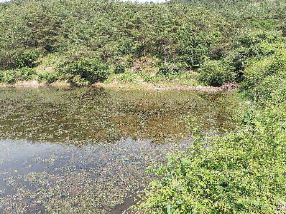 도전해 볼만한 저수지입니다 회원분들 참고하시길 (조황조행기 - 낚시점조황)