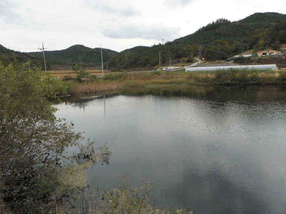 장천쪽 저수지들 (조황조행기 - 낚시점조황)
