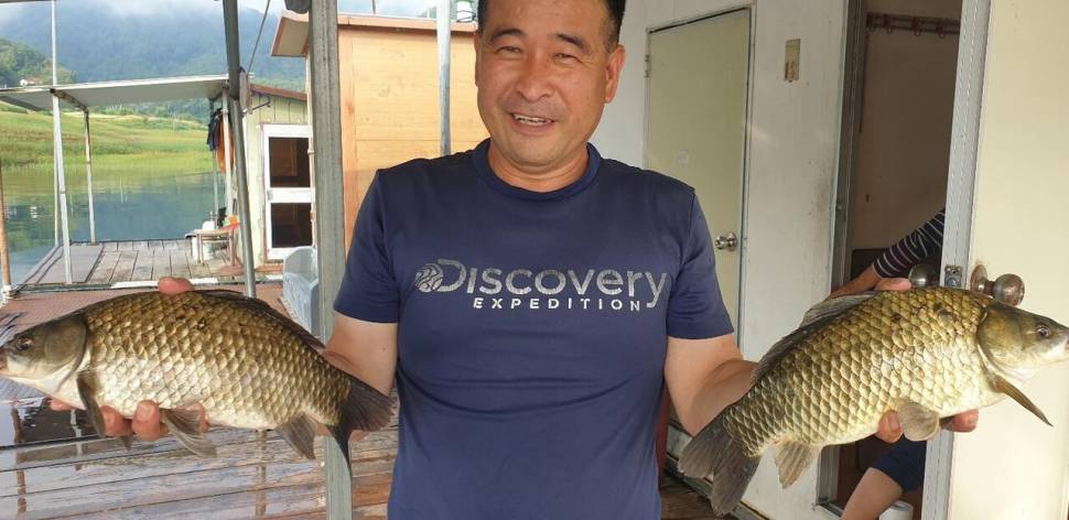 청풍 김기호42cm 짱가네 4짜 (조황조행기 - 낚시점조황)