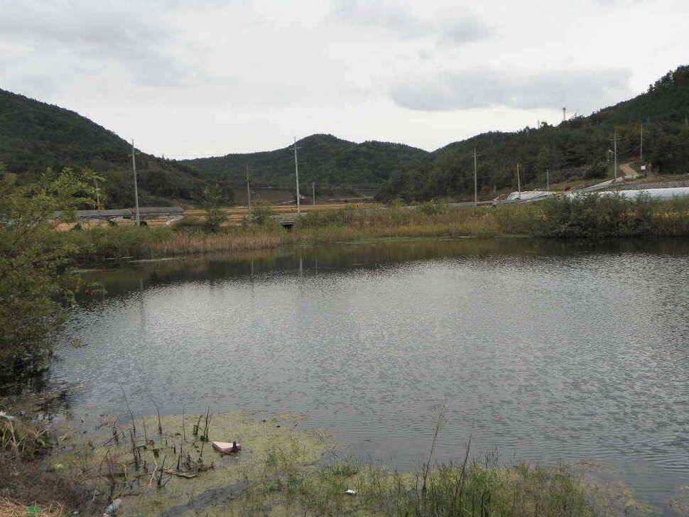 장천쪽 저수지들 (조황조행기 - 낚시점조황)