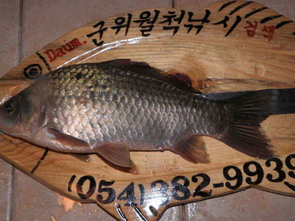 부계 인근에 위치한 준계곡지 (조황조행기 - 낚시점조황)