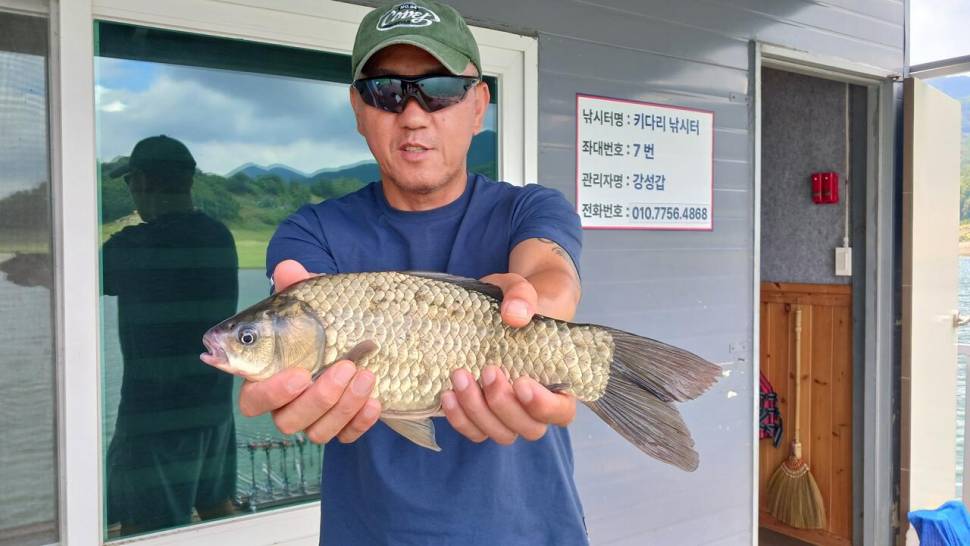 충주호키다리 허리급들 마리수대박 호조황 (조황조행기 - 낚시점조황)
