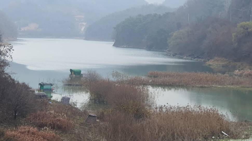 청풍호 좌대노지 조황입니다 (조황조행기 - 낚시점조황)