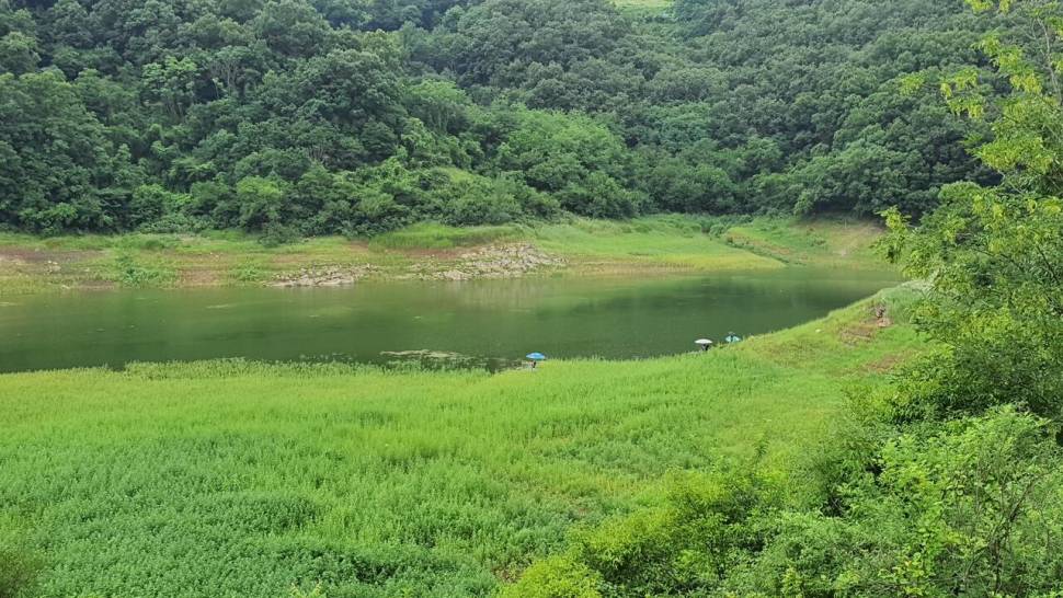 청풍호 노지 현재상황입니다 (조황조행기 - 낚시점조황)