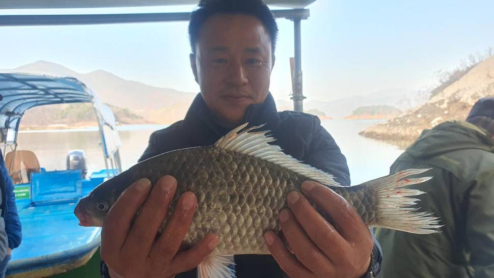 청풍호 짱가네 허리급 조황 (조황조행기 - 낚시점조황)