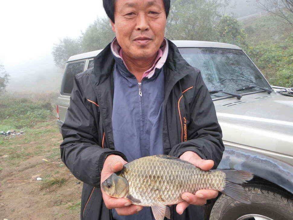 장천쪽 저수지들 (조황조행기 - 낚시점조황)