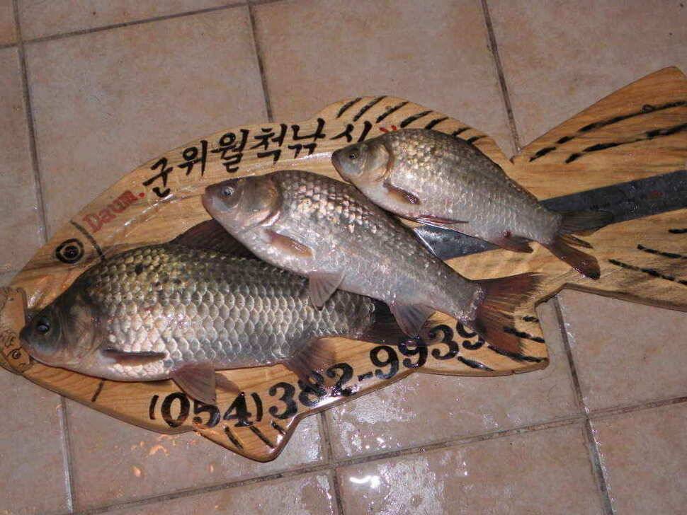부계 인근에 위치한 준계곡지 (조황조행기 - 낚시점조황)